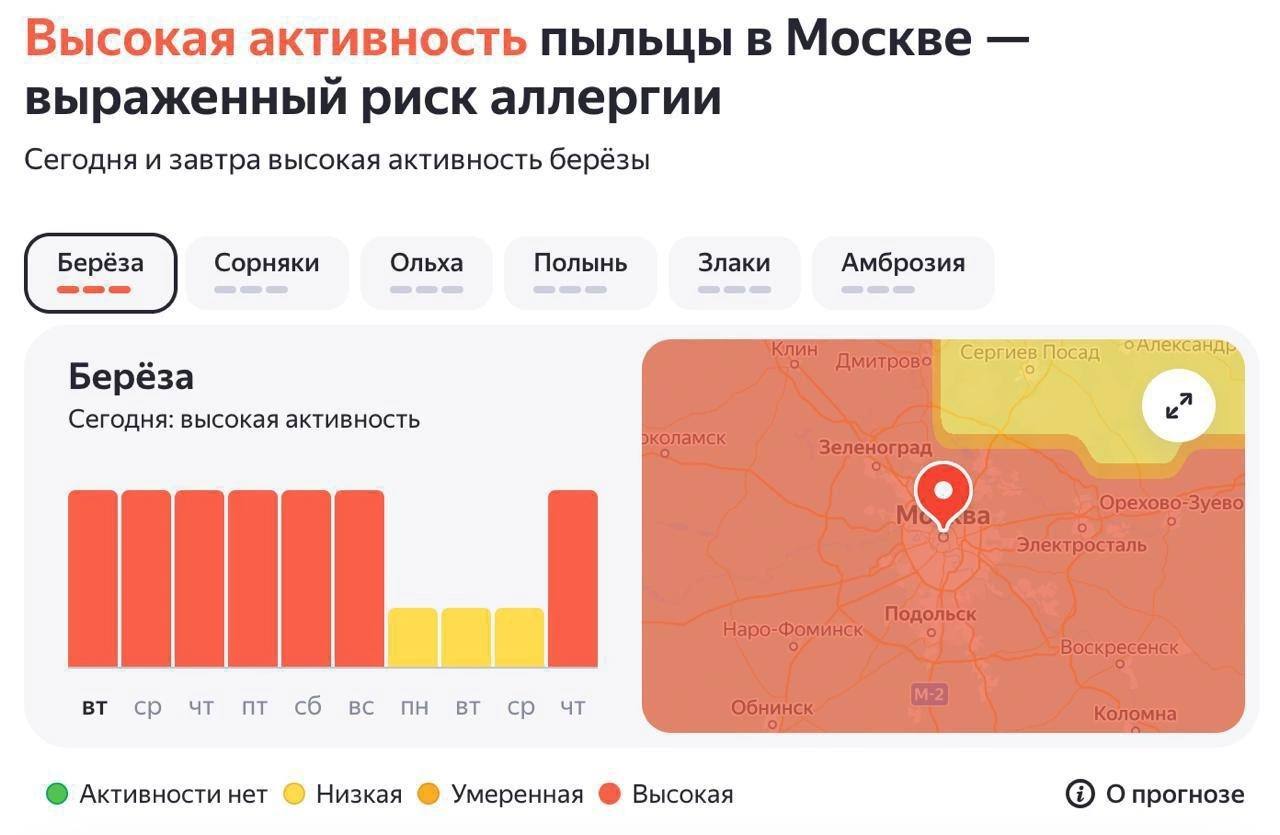 Пыльцевая буря сейчас в Москве, норма превышена почти в тысячу раз, аллергики, сочувствую.
Видимо, все березы сговорились простив нас 😞
Если уехать ближе к Сергиев Пасаду будет проще, но это не точно | Сетка — социальная сеть от hh.ru