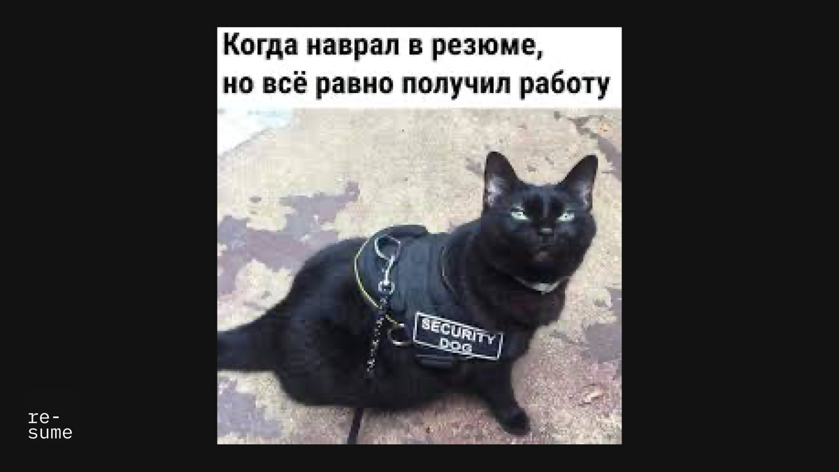 Используй глаголы в прошедшем времени | Сетка — социальная сеть от hh.ru