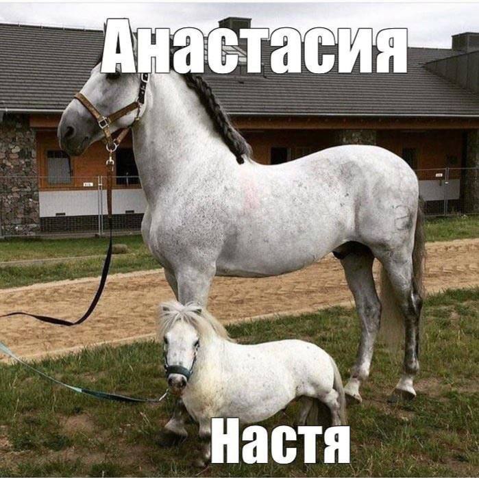 ВесУ меня, за последние пару лет многое поменялось. Я основала и руковожу креативным агентством, почти полностью сменила круг общения и... прибавила в весе. Причём дофига так, для моего роста | Сетка — социальная сеть от hh.ru