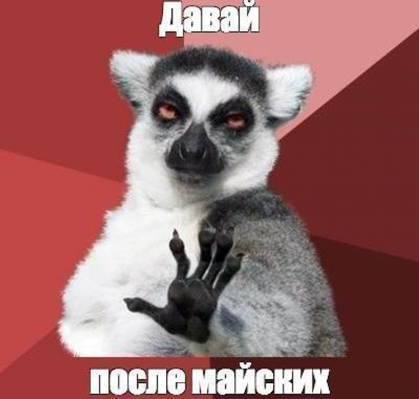 Срятница 🤫 | Сетка — социальная сеть от hh.ru