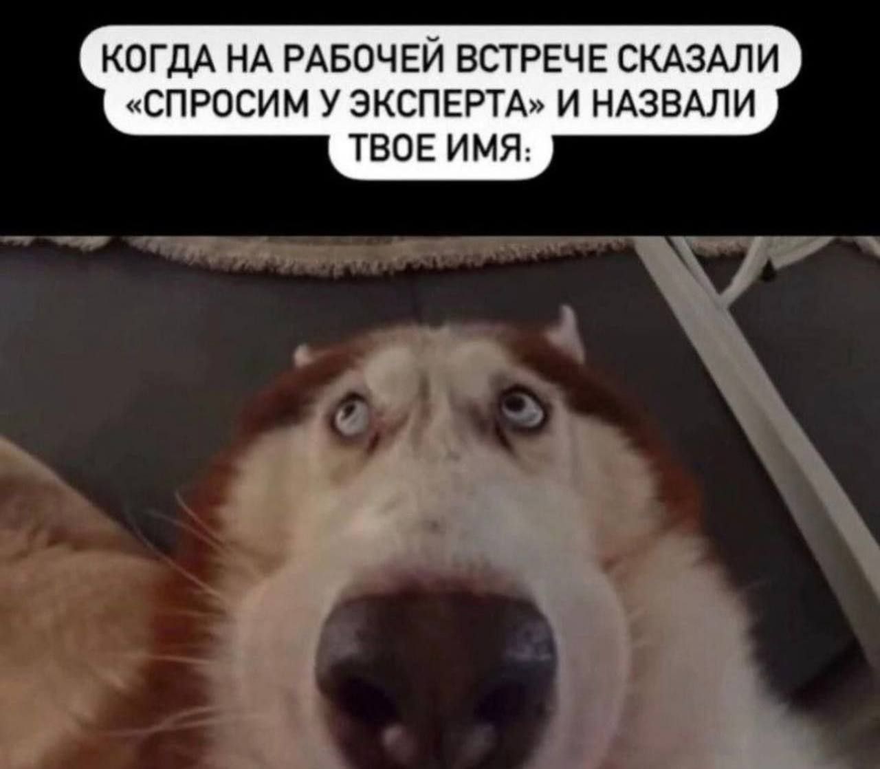 Труженики! 🐝
А как вы ведете себя на рабочих созвонах? | Сетка — социальная сеть от hh.ru