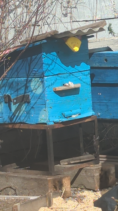 Мед будет УРАЛЬСКИЙ 😂 | Сетка — социальная сеть от hh.ru