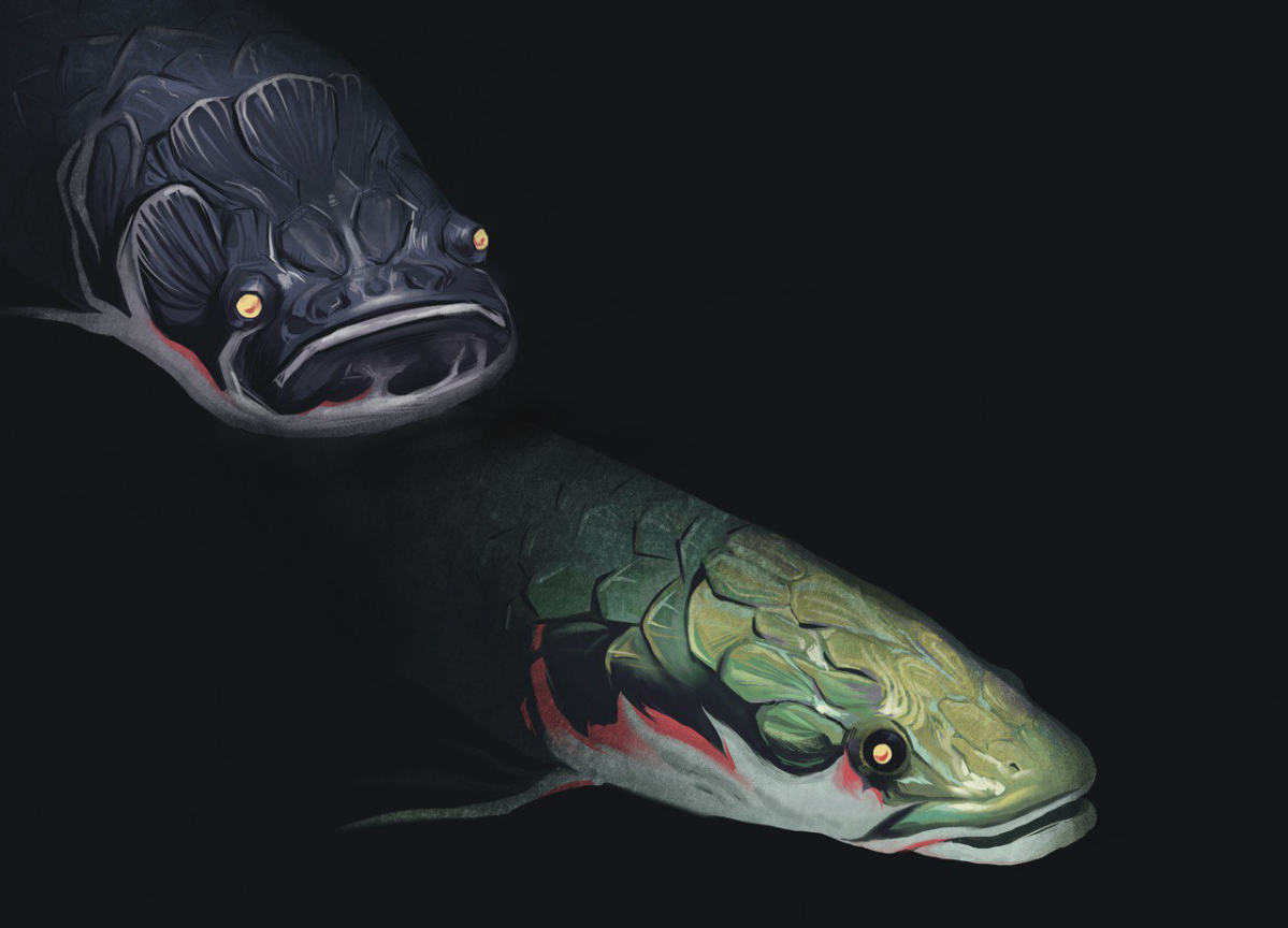 Всем привет! Меня зовут Александра, я являюсь художником-иллюстратором и в данный момент ищу заказчиков для коммерческих иллюстраций для сайтов или же книг или другой печатной продукции | Сетка — социальная сеть от hh.ru