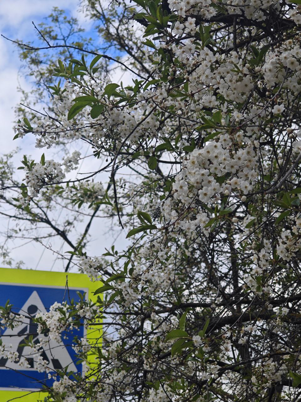 Скажу в интернете, что мы переехали в 🌸🌸🌸🌸🌸🌸 | Сетка — социальная сеть от hh.ru