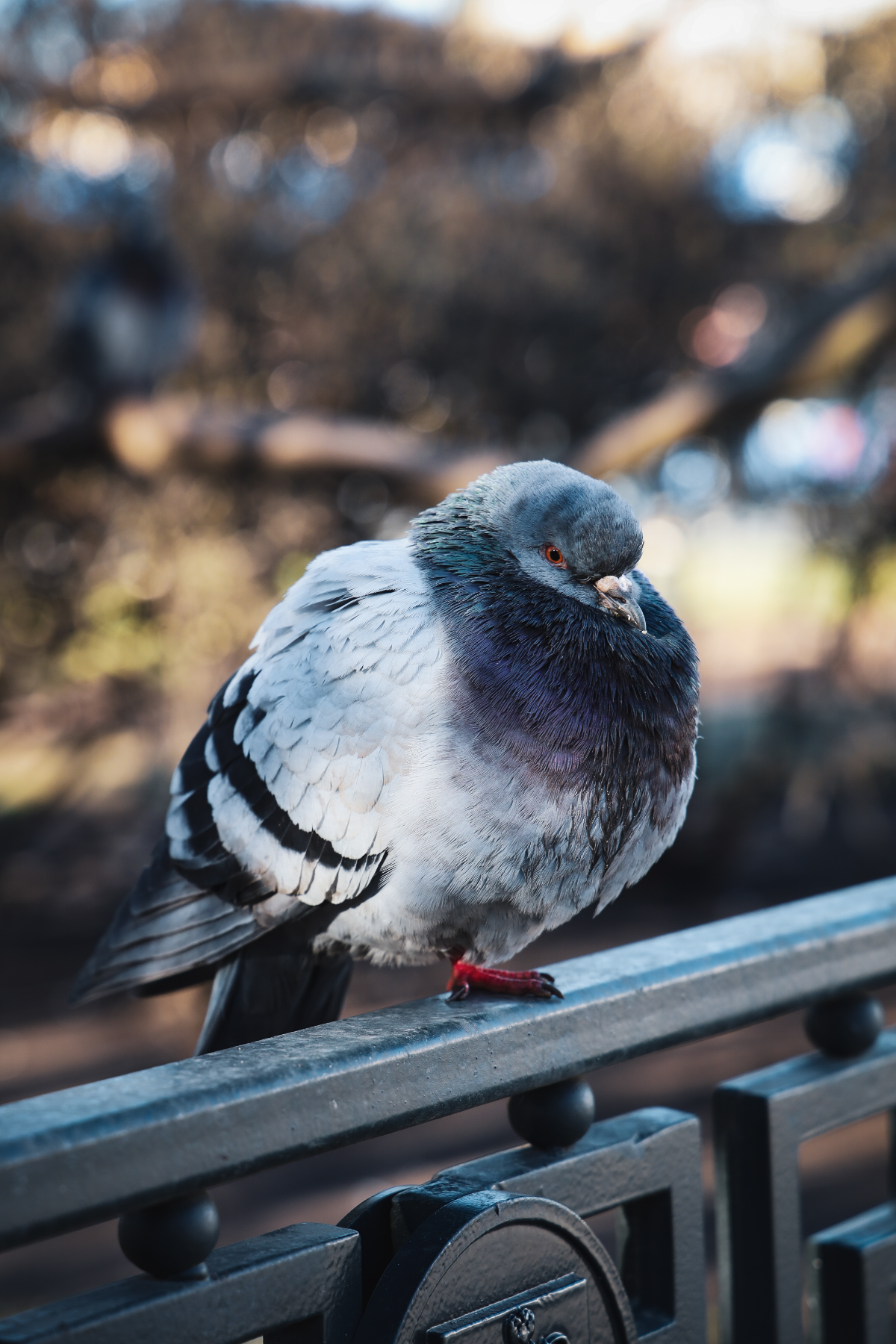 максимум информативности: курлык получается. | Сетка — социальная сеть от hh.ru