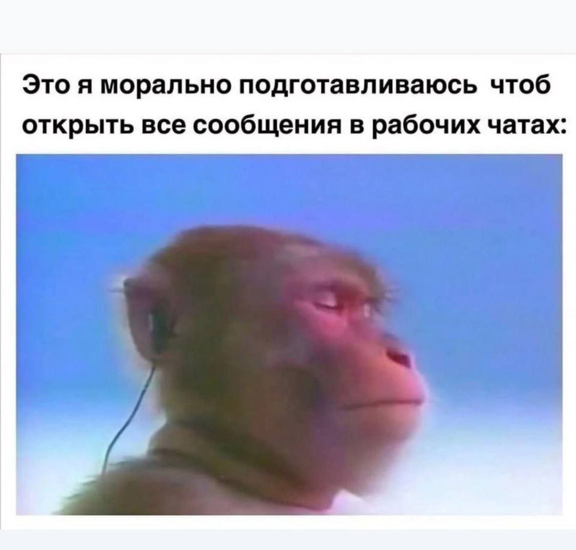 Труженики! 🐝
Если подготовка не помогает и вас раздражает каждое сообщение в рабочем чате - возможно стоит сменить работу 🤔
Специально для таких случаев сегодня новые вакансии! | Сетка — социальная сеть от hh.ru