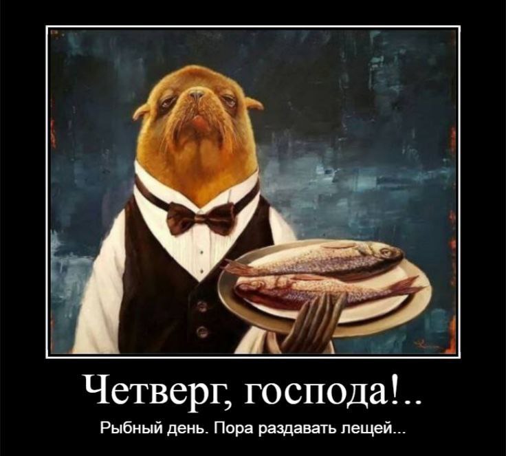 🐠🐟Четверг - рыбный день. Так было в советских столовках.
Рыбу люблю. Есть. Но не люблю готовить.
А еще теперь рыба по цене кольца с маленьким брильянтом. 🙈
Я про хорошую рыбу | Сетка — социальная сеть от hh.ru