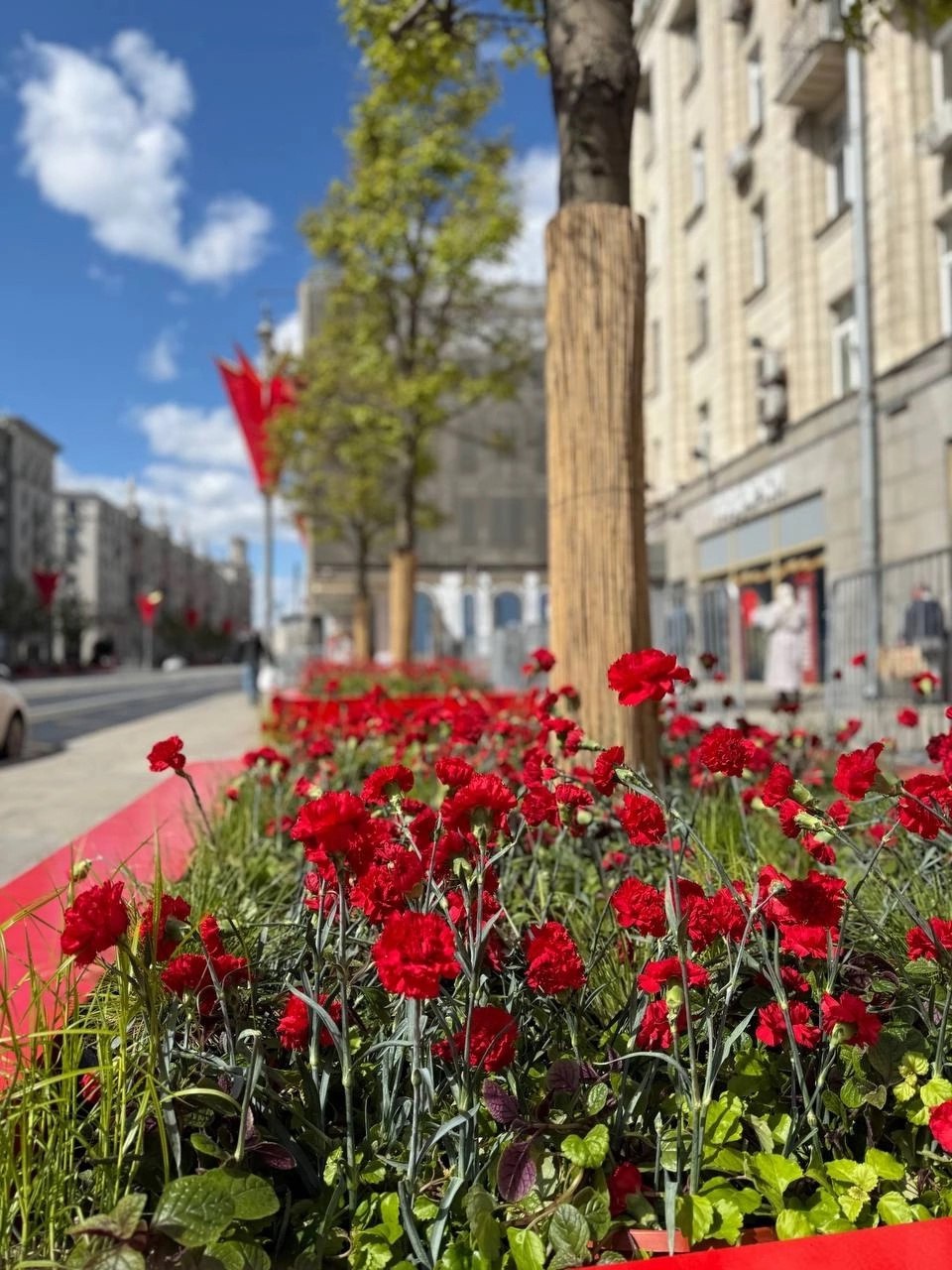 Позавчерашняя Москва. Да, в Белокаменной деревья "растут" не по дням, а по часам! А сегодня в Москве не работает мобильный интернет. Как класс. Так что Wi-Fi - наше все. | Сетка — социальная сеть от hh.ru