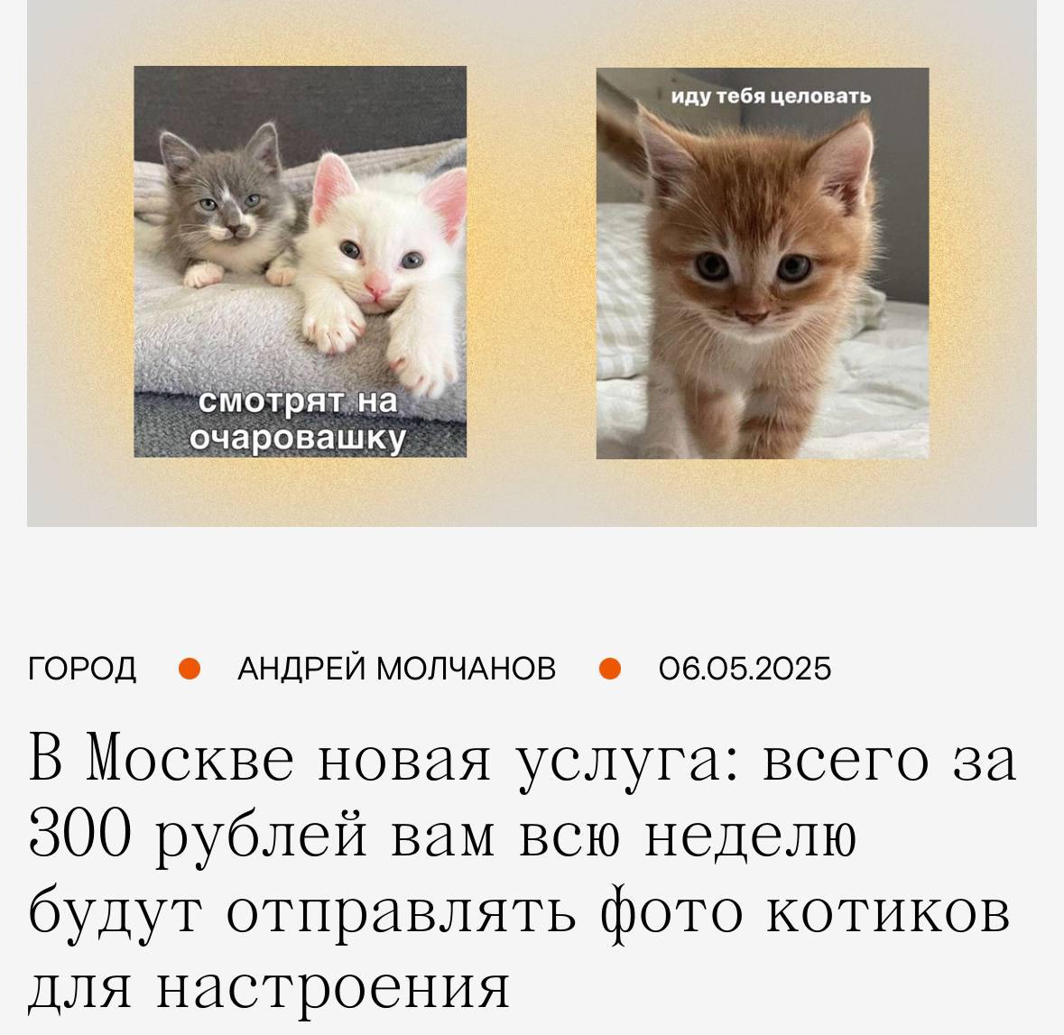 Надеюсь, там есть опция, чтобы подключить эту подписку навсегда. | Сетка — социальная сеть от hh.ru