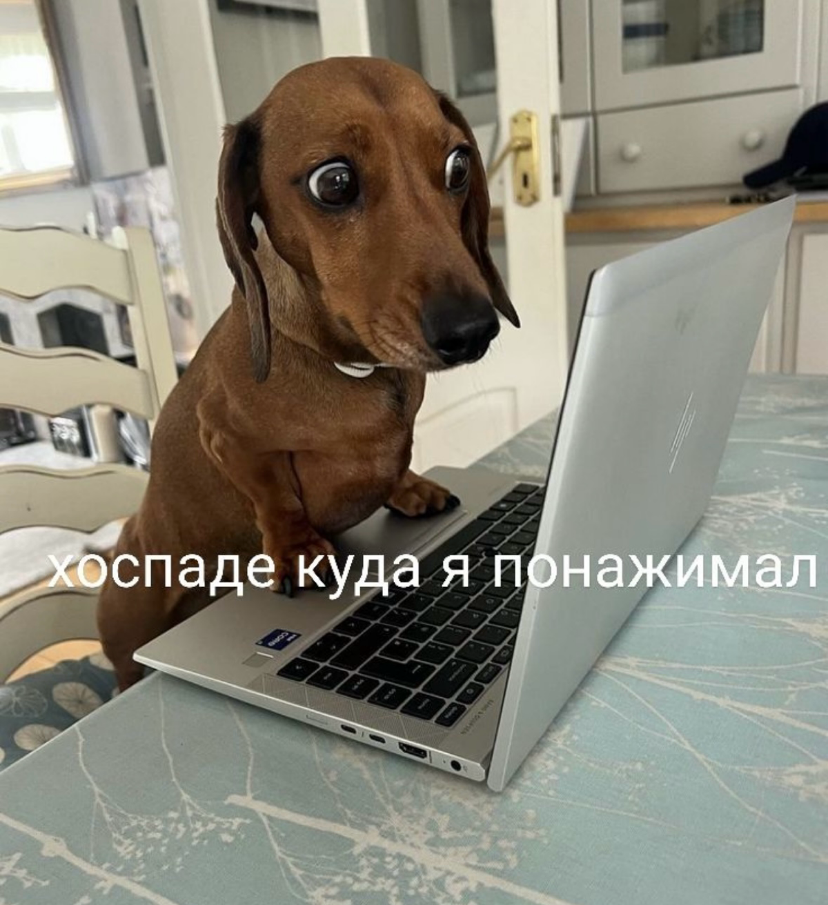 «Мой дом стоит - сиксилион!» | Сетка — социальная сеть от hh.ru