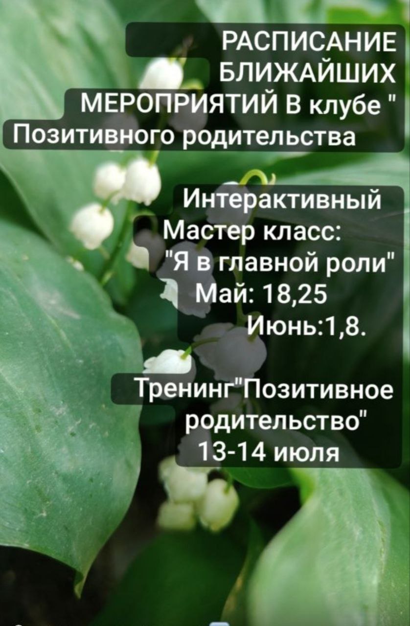 Ближайшие мероприятия, утвержденные. Будут дополнятся, совместные эфиры, активности приветствуются. Цена на Тренинг сейчас стартовая!!! Запись через ➡️https://taplink.cc/elenadovzenko | Сетка — социальная сеть от hh.ru