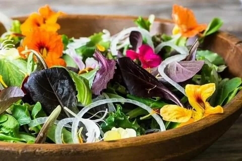🌺САМЫЕ КРАСИВЫЕ ЦВЕТЫ МИКРОЗЕЛЕНИ
🌺🌺🌺🌺🌺🌺🌺🍒🍒🍒🍒🍒🍒🍒
Микрозелень – это не просто модный тренд в кулинарии, это настоящая сокровищница полезных веществ и, как ни странно, красоты | Сетка — социальная сеть от hh.ru