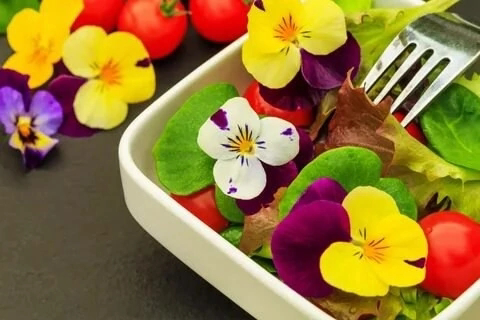 🎀СЪЕДОБНЫЕ ЦВЕТЫ МИКРОЗЕЛЕНИ
🌱🌱🌱🌱🌱🌱🌱🌱🌱🌱🌱🌱🌱🌱
В мире гастрономии, где визуальное наслаждение играет не меньшую роль, чем вкусовые ощущения, съедобные цветы микрозелени занимают особое место | Сетка — социальная сеть от hh.ru