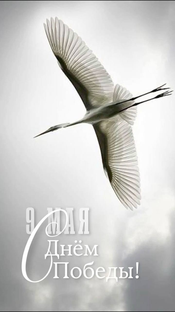 С Днем нашей великой Победы, друзья! | Сетка — социальная сеть от hh.ru