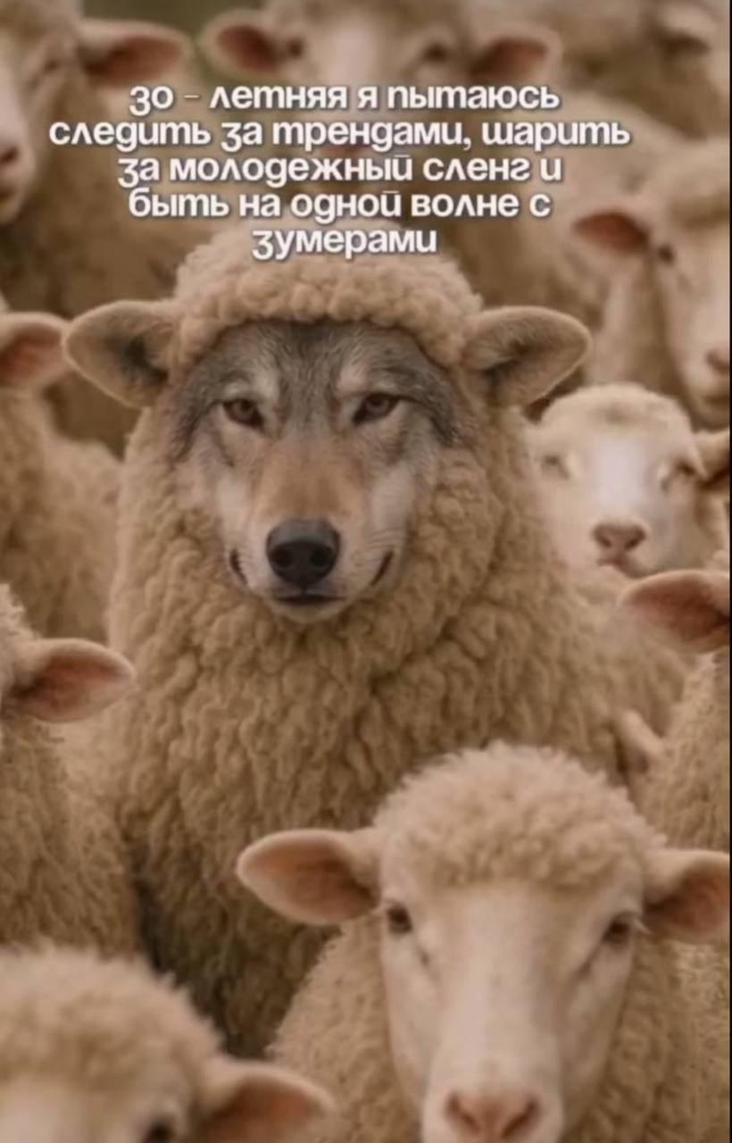 #пятничное
Всех с праздником!
Восстанавливаемся и готовимся к новым свершениям. | Сетка — социальная сеть от hh.ru