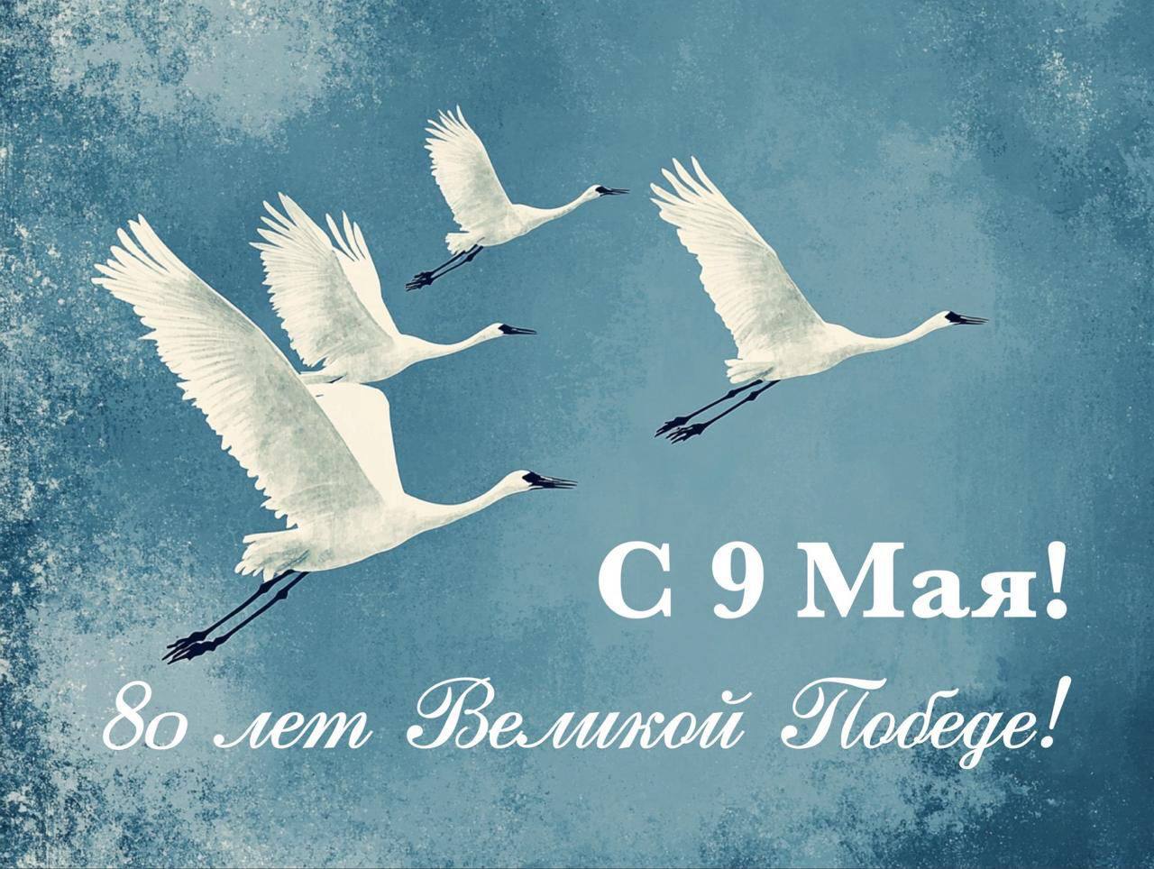 Друзья, с Праздником! Мира нам всем… | Сетка — социальная сеть от hh.ru