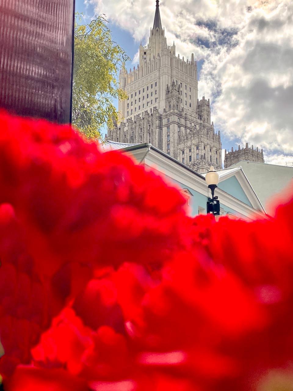 🌹На Старом Арбате раскинулась Аллея Победы
Инсталляция из 80 000 гвоздик в каждой клумбе, как символ уважения и памяти Героям Победы
Цитаты из фронтовых писем проекта "Голоса Победы" - это символы люб... | Сетка — социальная сеть от hh.ru