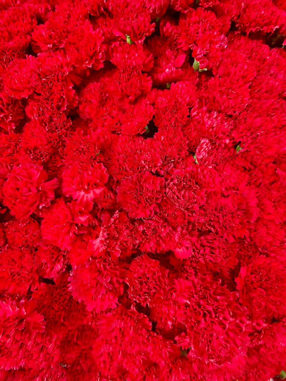 🌹На Старом Арбате раскинулась Аллея Победы
Инсталляция из 80 000 гвоздик в каждой клумбе, как символ уважения и памяти Героям Победы
Цитаты из фронтовых писем проекта "Голоса Победы" - это символы люб... | Сетка — социальная сеть от hh.ru