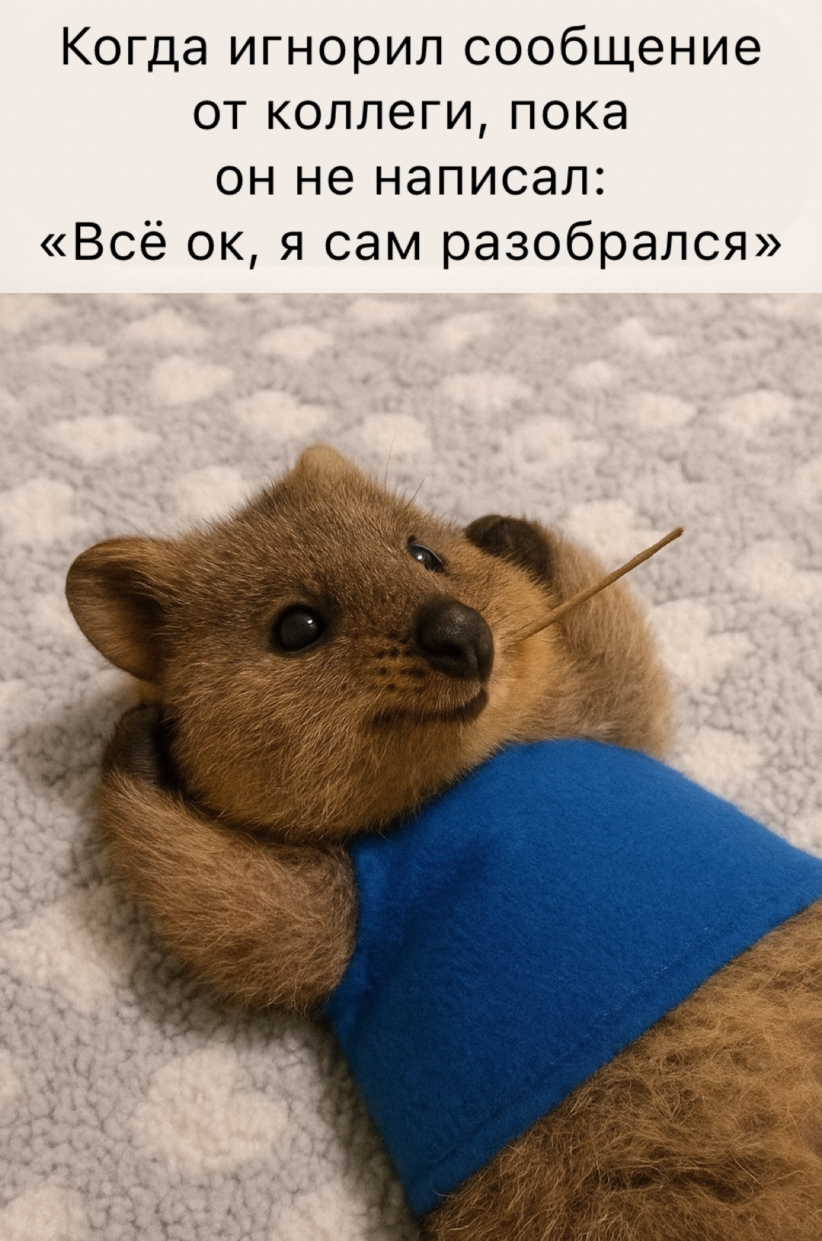 Признавайтесь, было? 🌚 | Сетка — социальная сеть от hh.ru