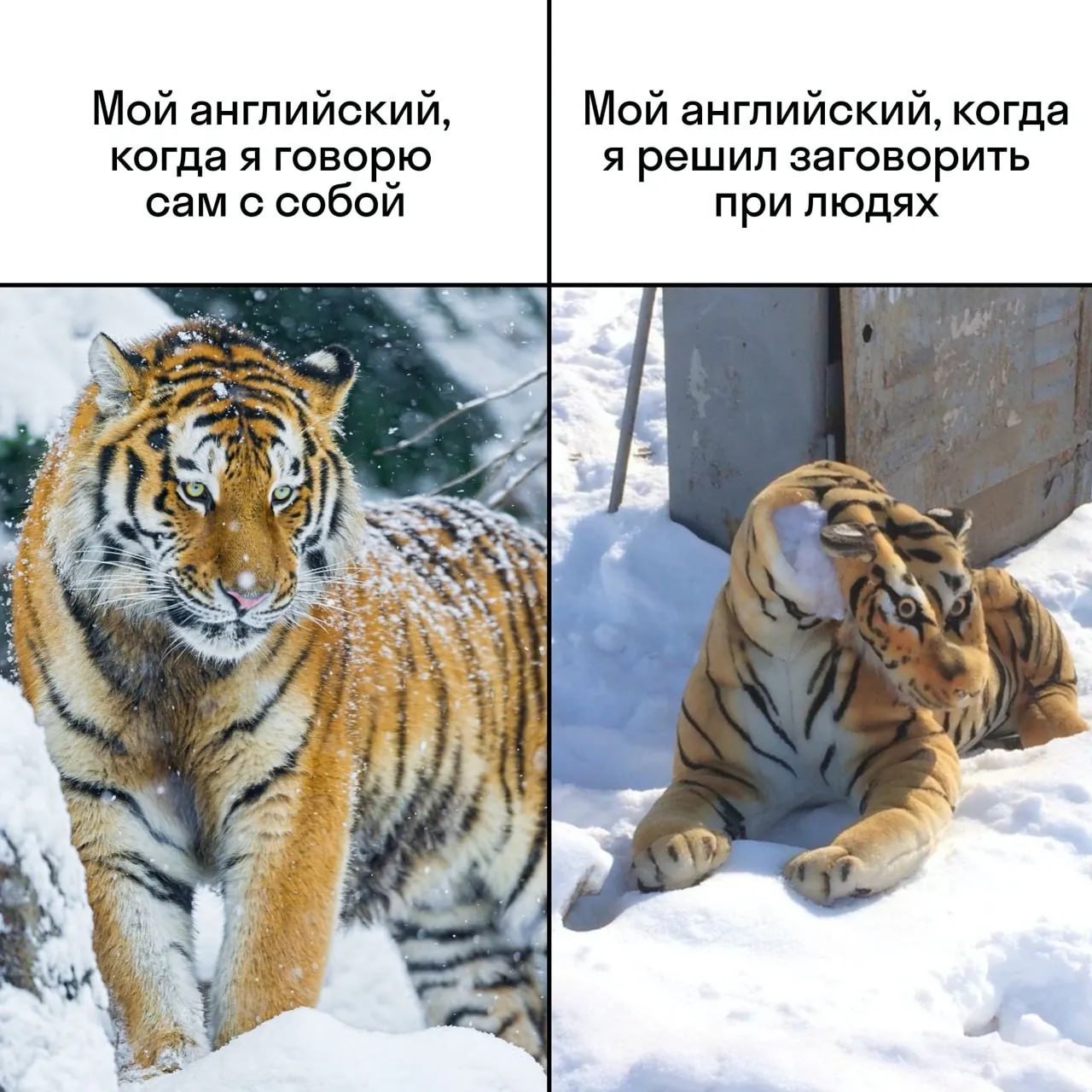 👍 Чуть сдулся...
Учите английский с Merlin: https://t.me/MerlinUCHIBOT | Сетка — социальная сеть от hh.ru