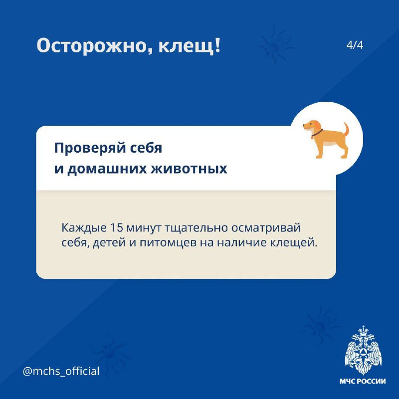 🌳Весна — пора шашлыков и пикников
Но на природе может подстерегать опасность в виде клещей.
МЧС России рассказало, как уберечься от укуса насекомого — в карточках. | Сетка — социальная сеть от hh.ru