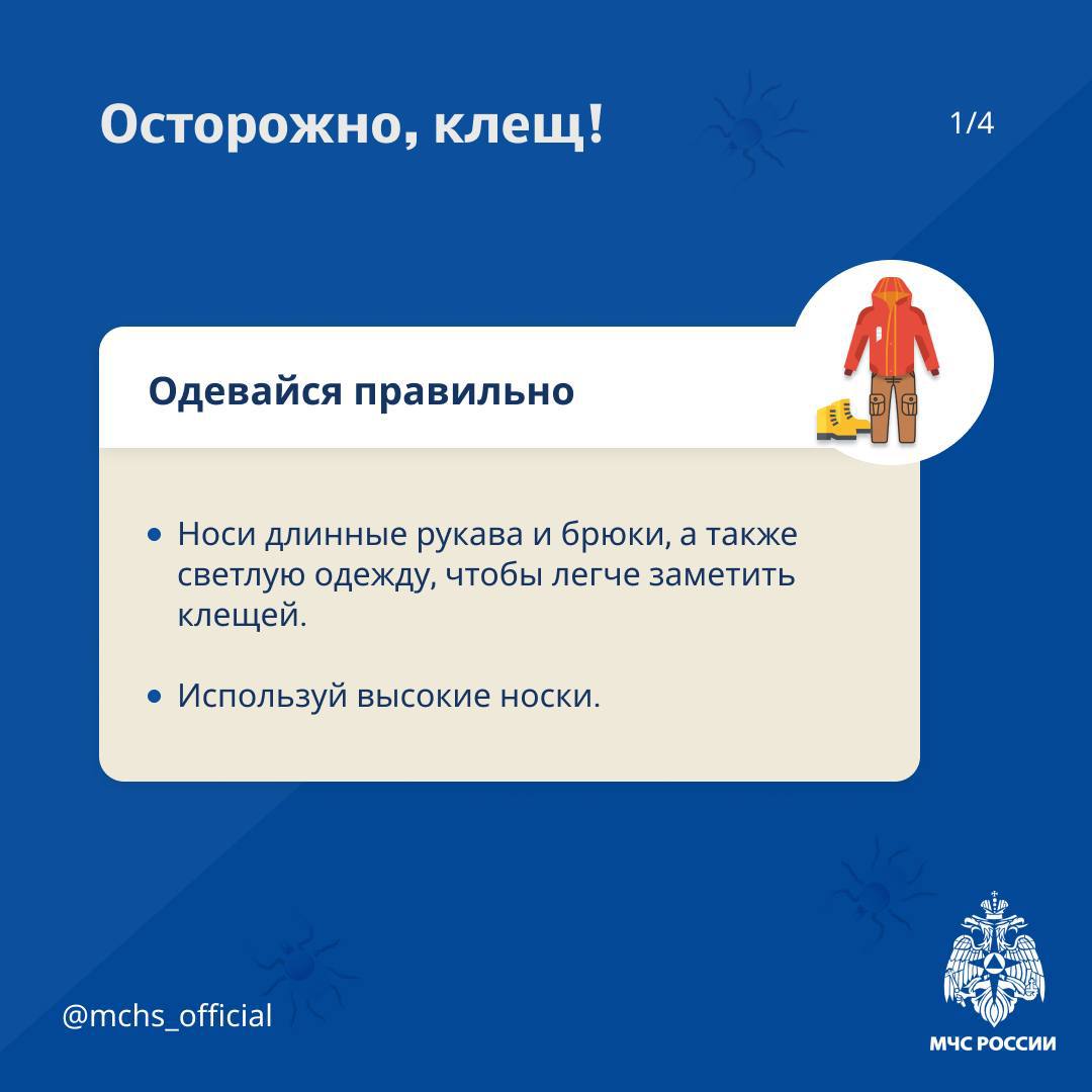 🌳Весна — пора шашлыков и пикников
Но на природе может подстерегать опасность в виде клещей.
МЧС России рассказало, как уберечься от укуса насекомого — в карточках. | Сетка — социальная сеть от hh.ru