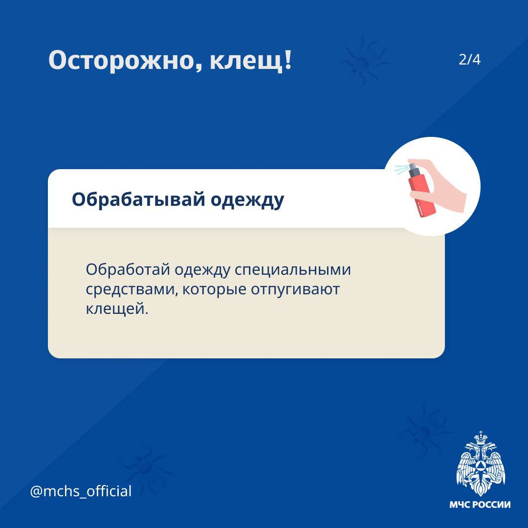 🌳Весна — пора шашлыков и пикников
Но на природе может подстерегать опасность в виде клещей.
МЧС России рассказало, как уберечься от укуса насекомого — в карточках. | Сетка — социальная сеть от hh.ru