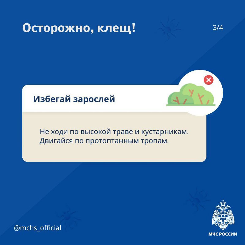🌳Весна — пора шашлыков и пикников
Но на природе может подстерегать опасность в виде клещей.
МЧС России рассказало, как уберечься от укуса насекомого — в карточках. | Сетка — социальная сеть от hh.ru