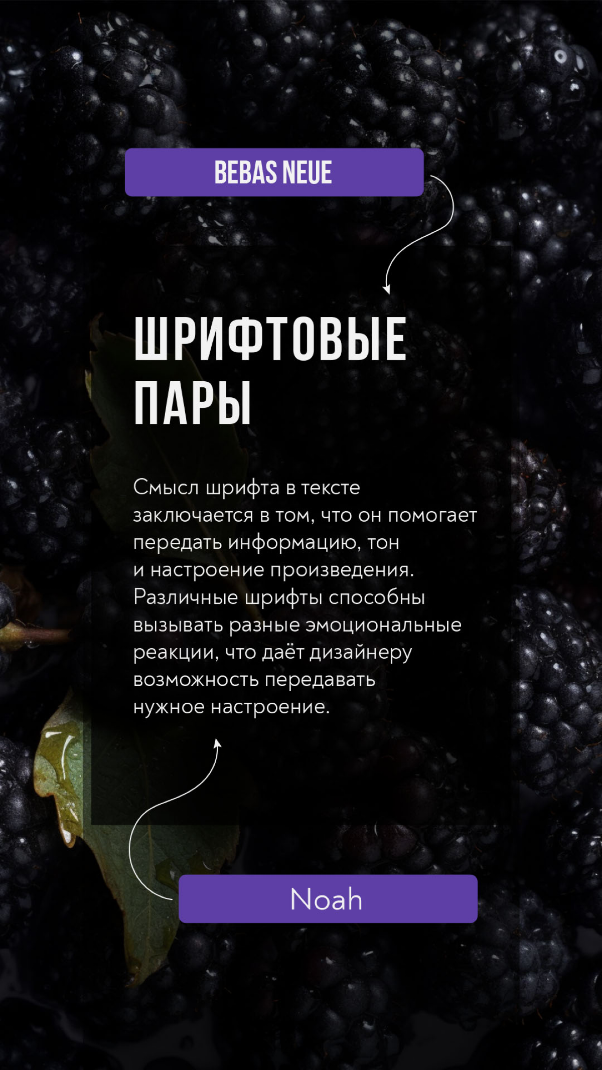 Шрифтовые пары | Сетка — социальная сеть от hh.ru