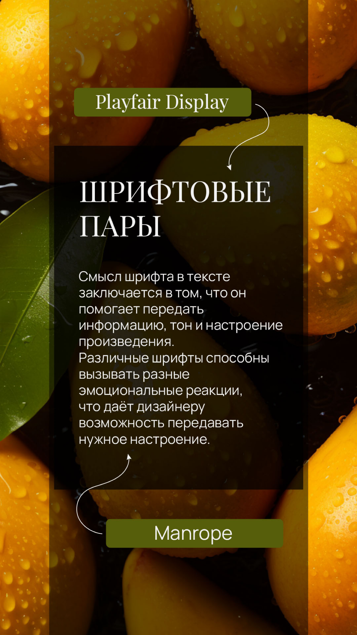 Шрифтовые пары | Сетка — социальная сеть от hh.ru