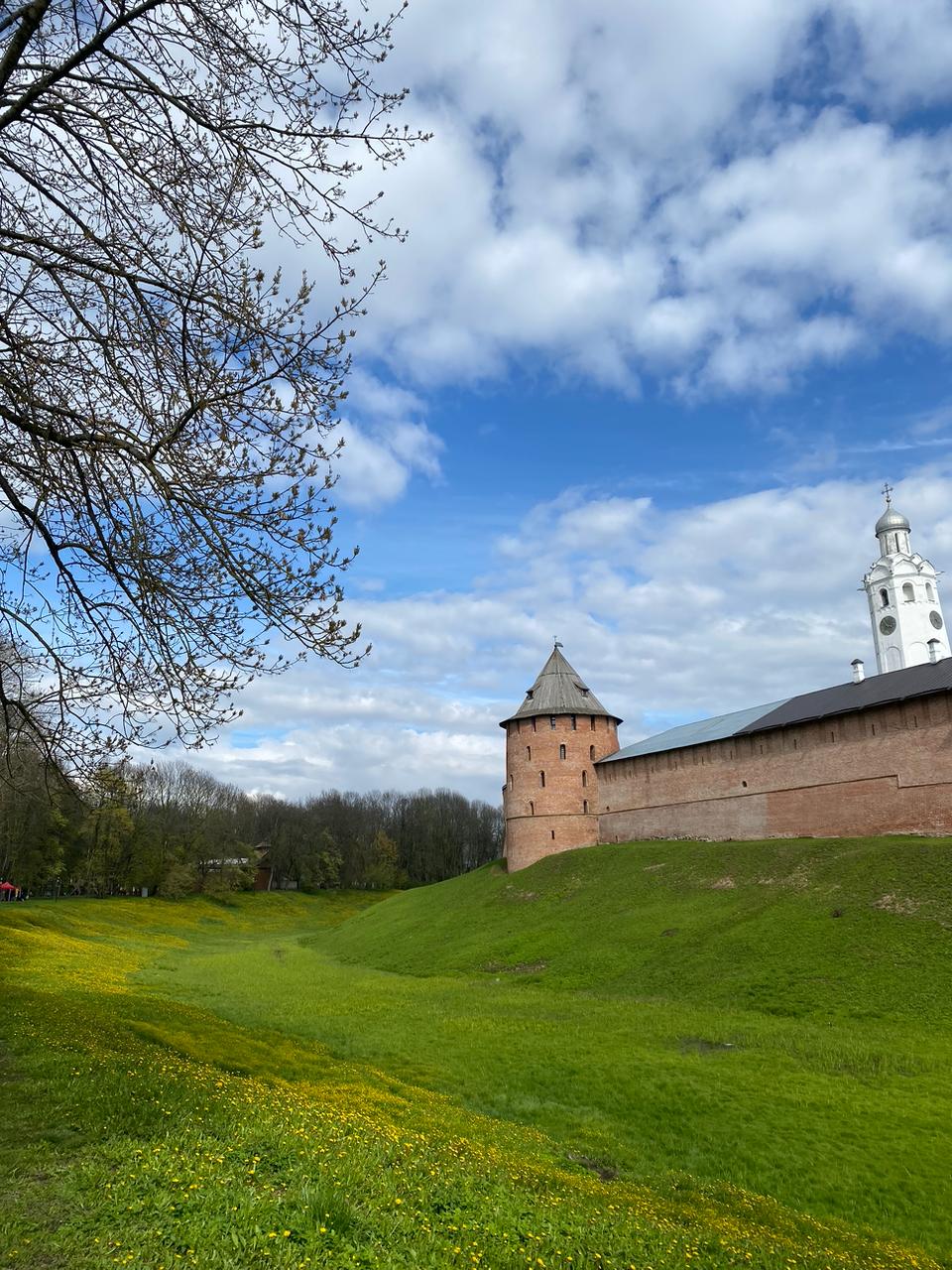 Вчера на фоторужье поймал моменты яркого и очень красивого денечка ☀️🌿
А на видео еще и маленькие утята | Сетка — социальная сеть от hh.ru