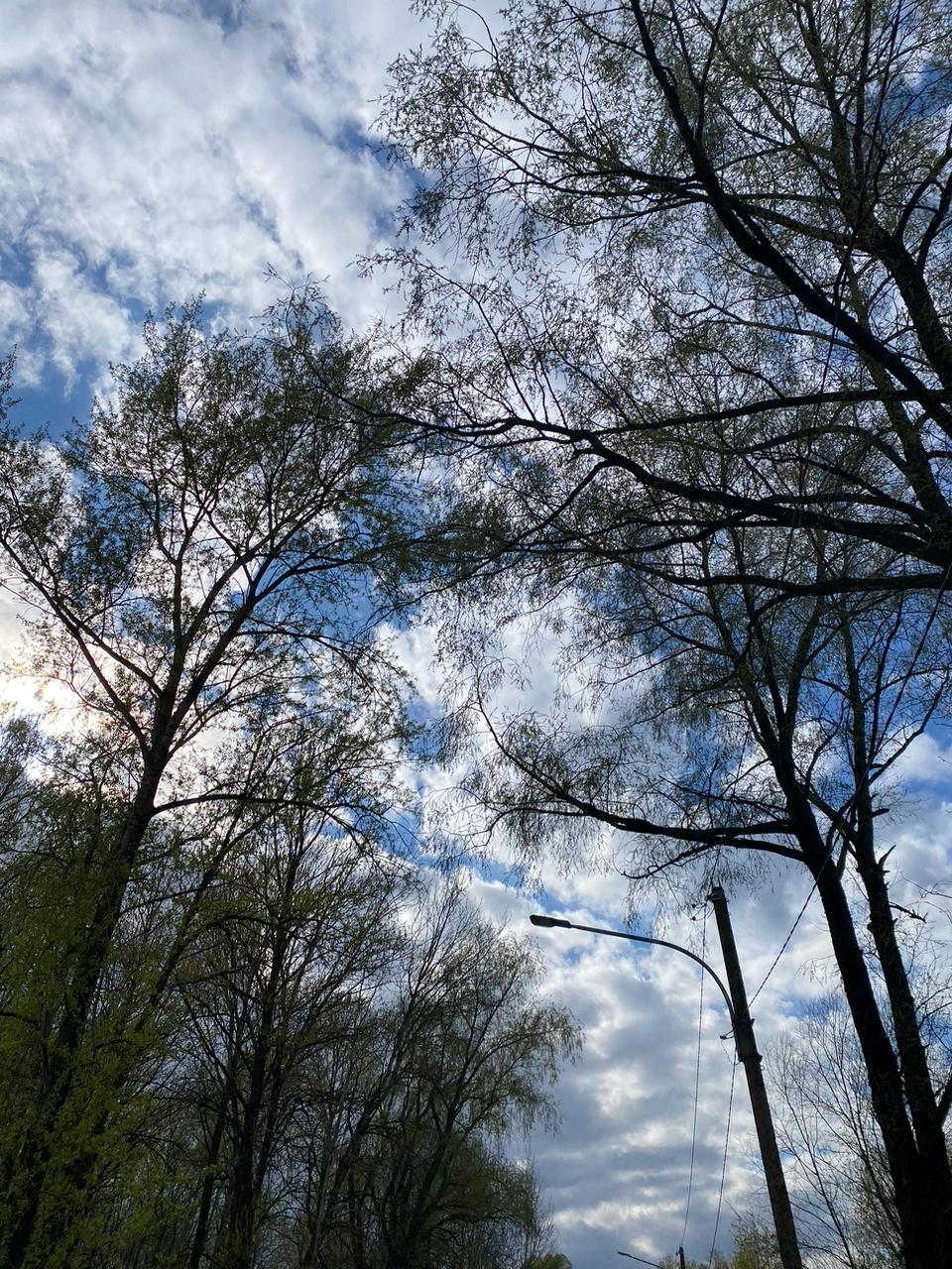 Вчера на фоторужье поймал моменты яркого и очень красивого денечка ☀️🌿
А на видео еще и маленькие утята | Сетка — социальная сеть от hh.ru