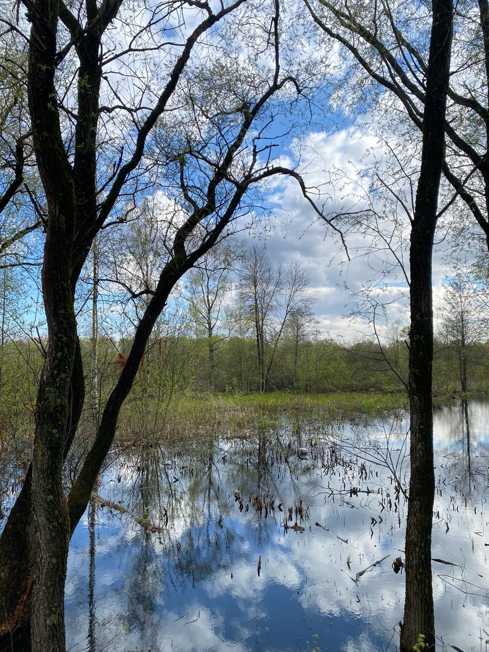 Вчера на фоторужье поймал моменты яркого и очень красивого денечка ☀️🌿
А на видео еще и маленькие утята | Сетка — социальная сеть от hh.ru