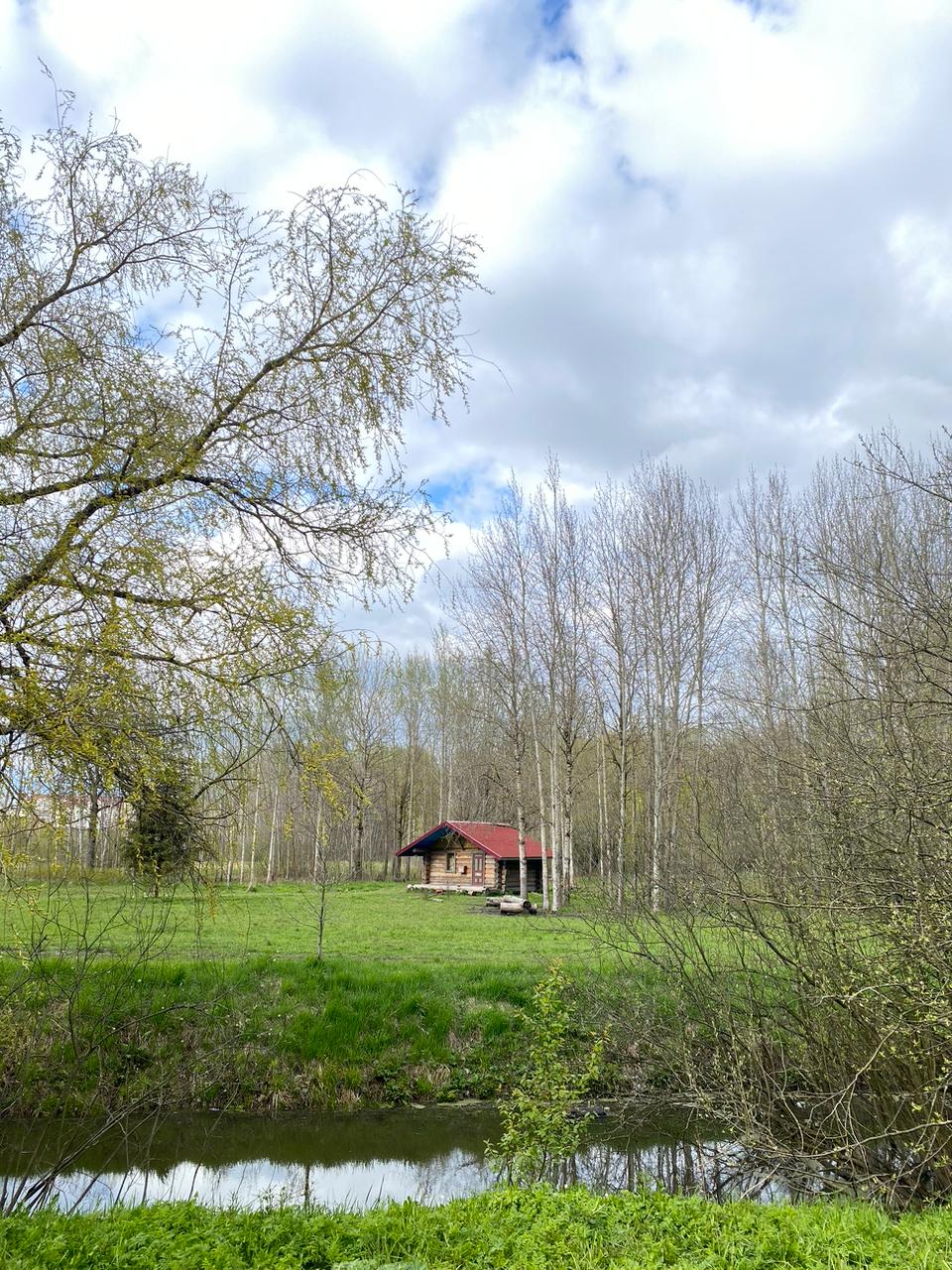 Вчера на фоторужье поймал моменты яркого и очень красивого денечка ☀️🌿
А на видео еще и маленькие утята | Сетка — социальная сеть от hh.ru
