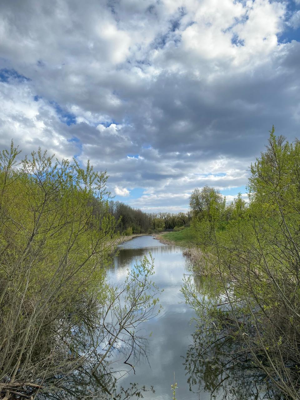 Вчера на фоторужье поймал моменты яркого и очень красивого денечка ☀️🌿
А на видео еще и маленькие утята | Сетка — социальная сеть от hh.ru