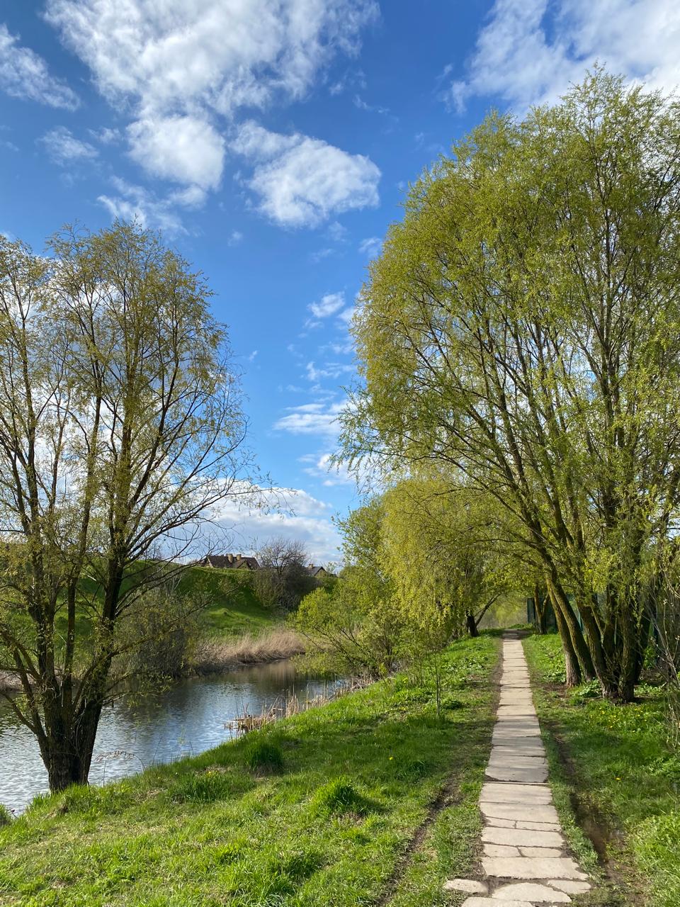 Вчера на фоторужье поймал моменты яркого и очень красивого денечка ☀️🌿
А на видео еще и маленькие утята | Сетка — социальная сеть от hh.ru