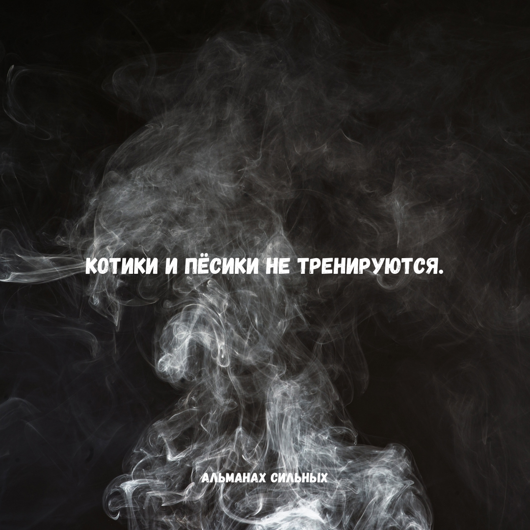 🧨
#АлександрШумов #ИнститутСилы #АльманахСилы #Москва #БазаСилы #БазаВласти | Сетка — социальная сеть от hh.ru