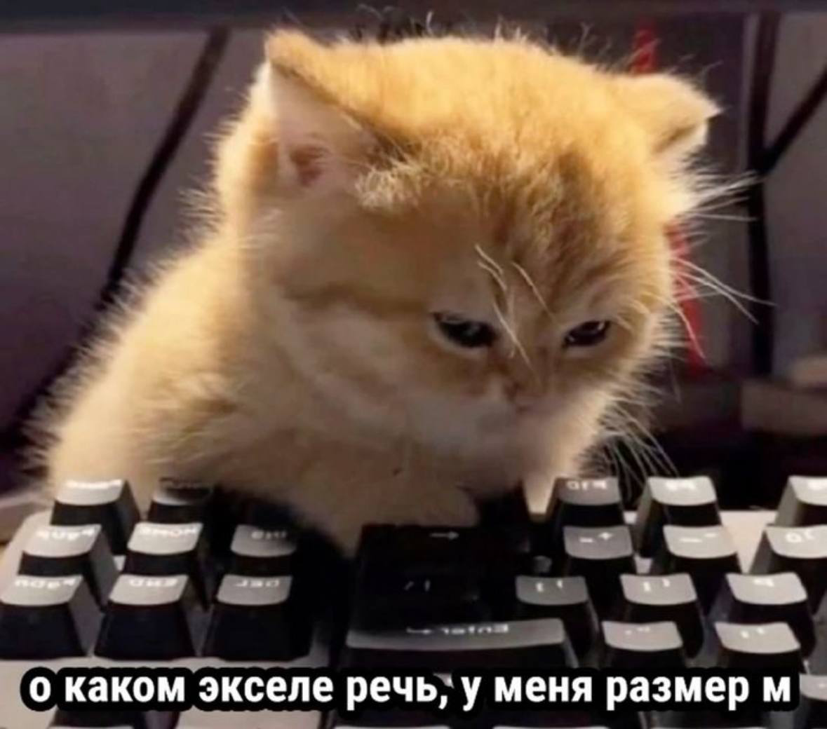 Для каких задач используете Excel? | Сетка — социальная сеть от hh.ru