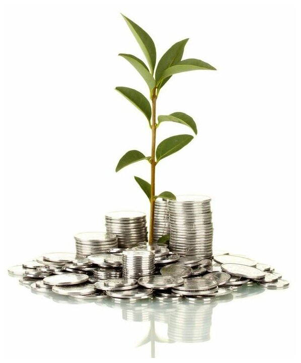 MicroGreens from ladymari 🌿  
Взгляд в будущее и стратегия развития
                   ⬇️
Компания MicroGreens from ladymary с гордостью смотрит в будущее, определяя ключевые направления для дальнейше... | Сетка — социальная сеть от hh.ru