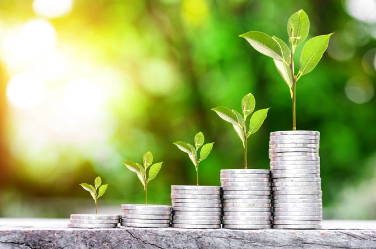 MicroGreens from ladymari 🌿  
Взгляд в будущее и стратегия развития
                   ⬇️
Компания MicroGreens from ladymary с гордостью смотрит в будущее, определяя ключевые направления для дальнейше... | Сетка — социальная сеть от hh.ru