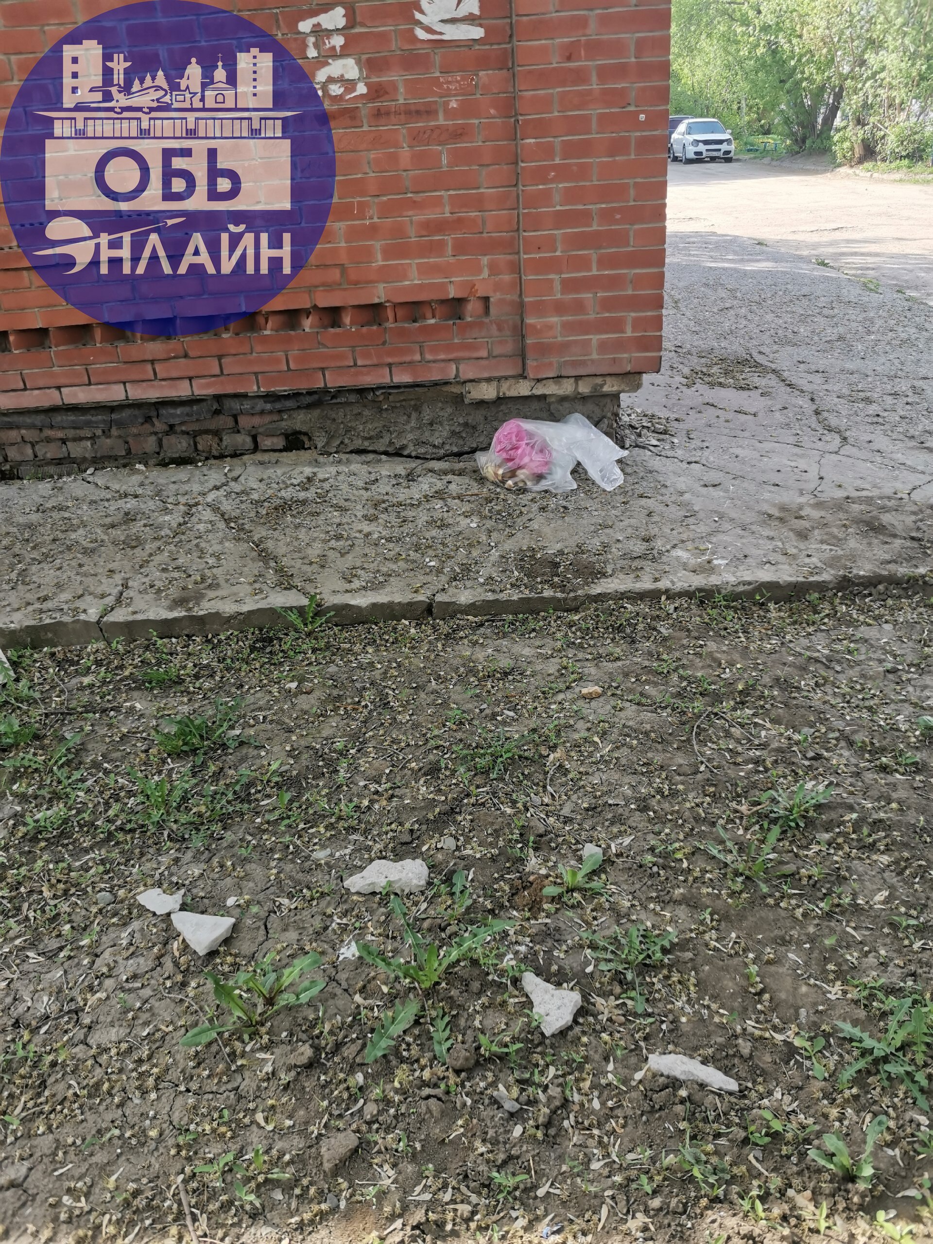 ↗ Уважаемые чуш🐷ки, проживающие на улице Октябрьская, может кто узнал свою помойку? Сколько это будет продолжаться, до помойки донести руки отваливаются? Постоянно кто то устраивает свалку за озоном
А... | Сетка — социальная сеть от hh.ru