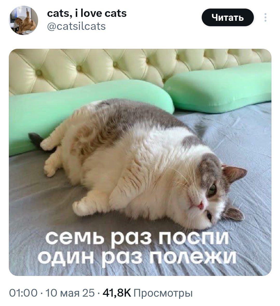 Кратко о наших планах на остатки выходных | Сетка — социальная сеть от hh.ru