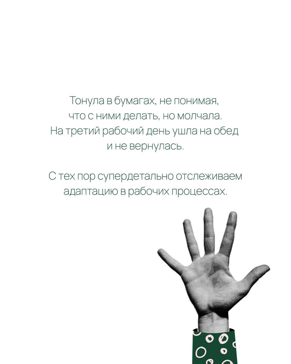Мы не прячем свой тернистый путь, мы им гордимся! 🤩 | Сетка — социальная сеть от hh.ru