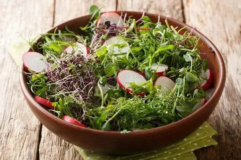 🌿МИКРОЗЕЛЕНЬ В РАЦИОНЕ ЧЕЛОВЕКА 🌺
Микрозелень – это не просто модный тренд в кулинарии, а ценный продукт, обогащающий наш рацион | Сетка — социальная сеть от hh.ru