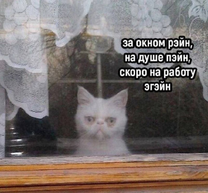 Праздники всё, ложитесь спать 🛌 | Сетка — социальная сеть от hh.ru