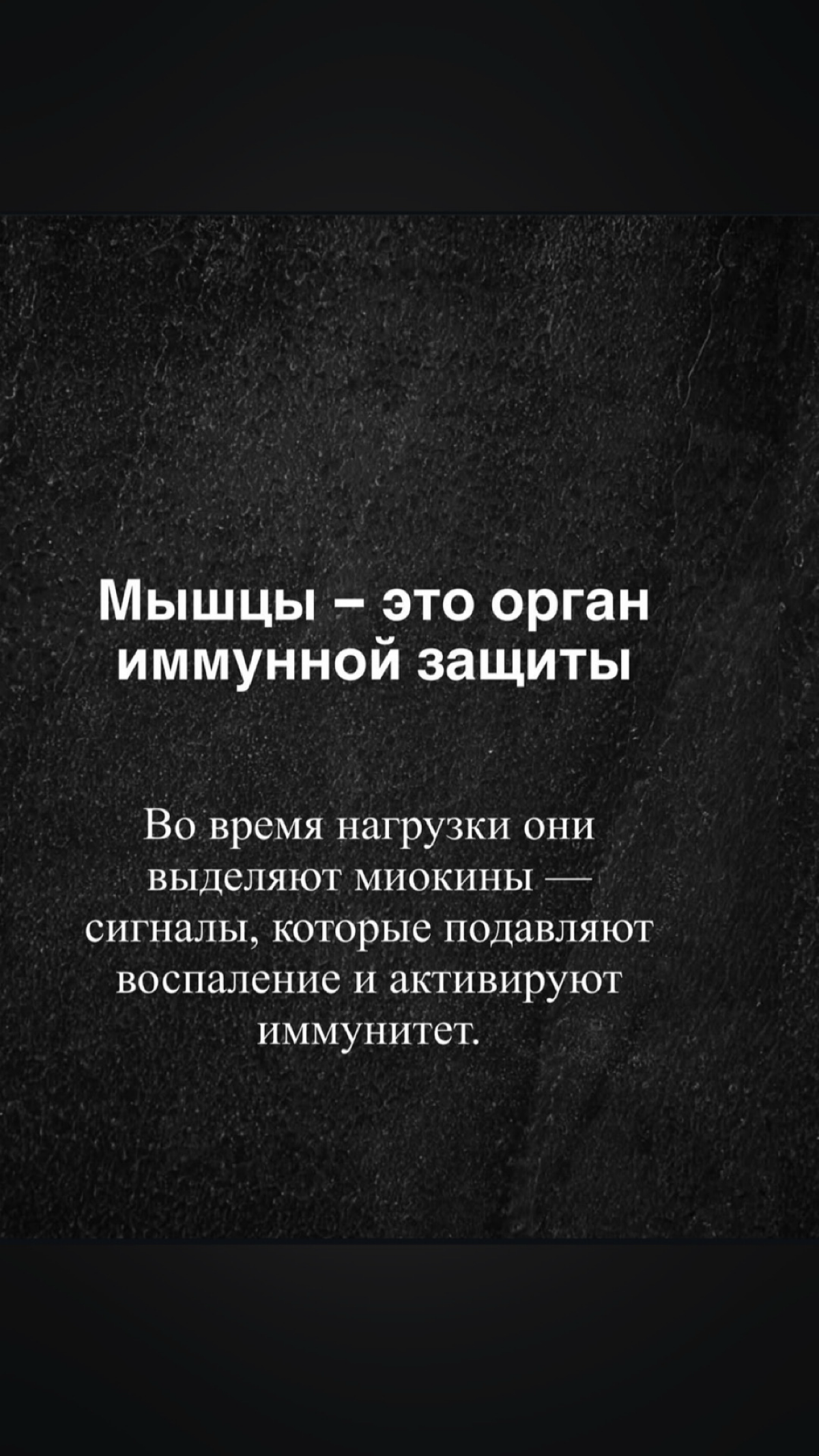 Не пропусти видеорепортаж в тг | Сетка — социальная сеть от hh.ru