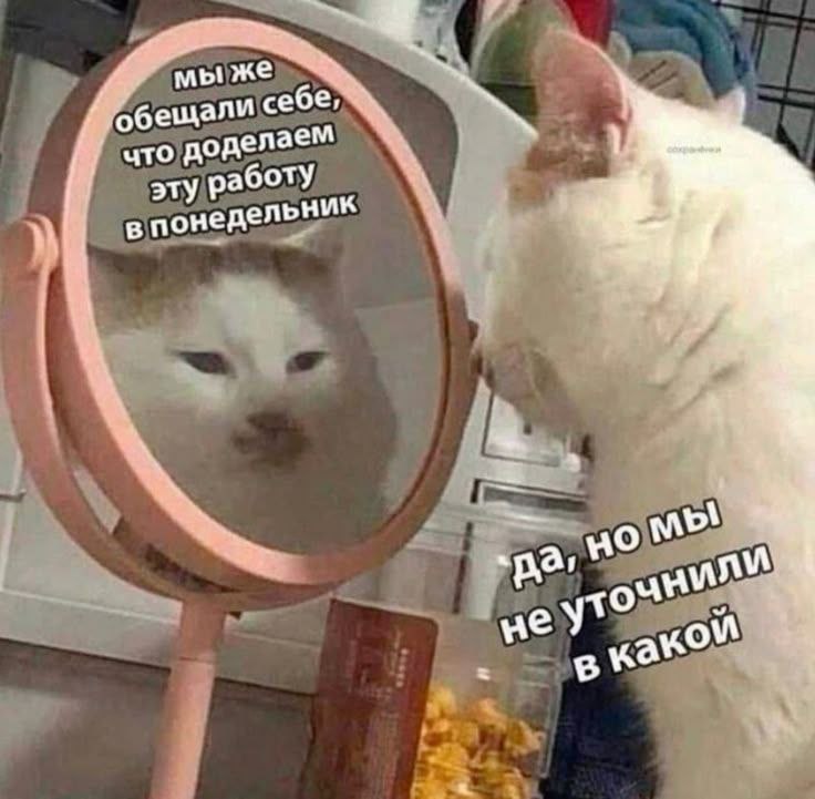 Труженики! 🐝
Понедельник после праздников все же наступил!
Помните наши советы после прошлых выходных? Не бросайтесь делать всю работу сразу, входите в рабочий режим постепенно 💪 | Сетка — социальная сеть от hh.ru