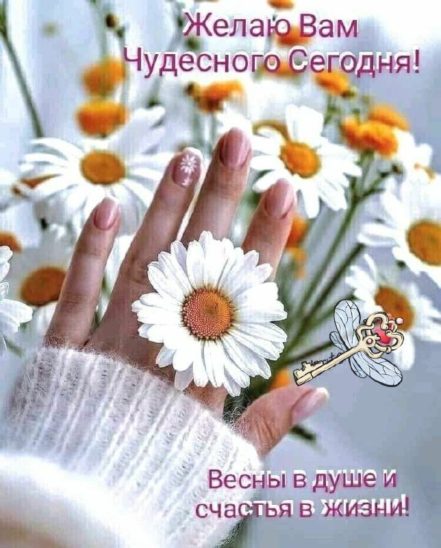 😊 Ромашковое настроение в любую погоду 🦋
Улыбнись и почувствуй свежесть росы на лугу.. | Сетка — социальная сеть от hh.ru