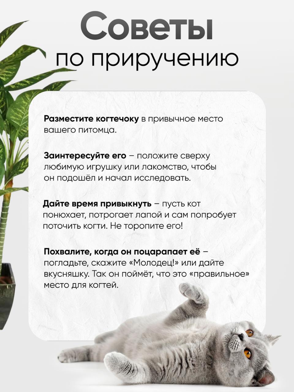 Сделать качественный визуал без фотосессии — реально? | Сетка — социальная сеть от hh.ru