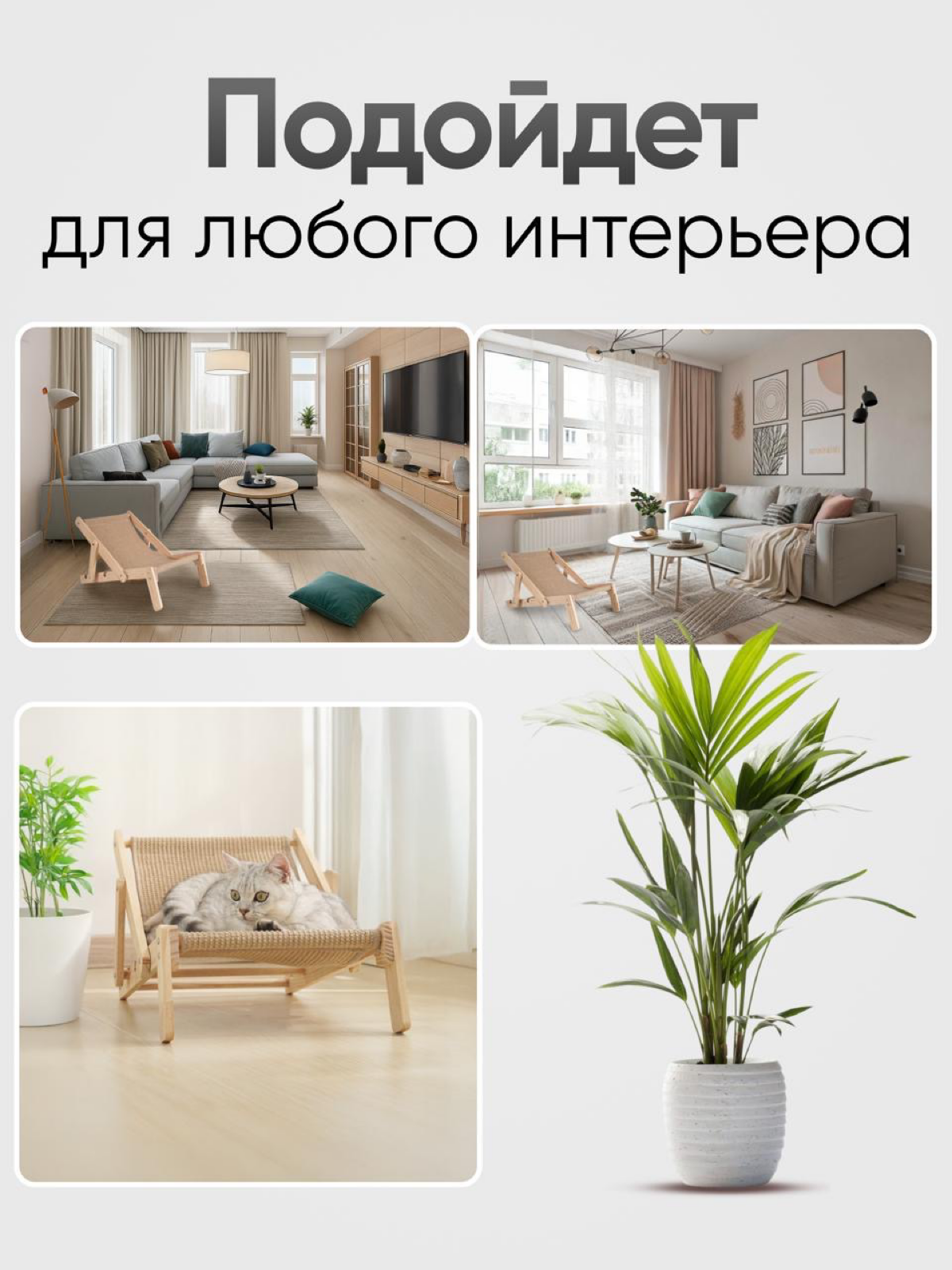 Сделать качественный визуал без фотосессии — реально? | Сетка — социальная сеть от hh.ru